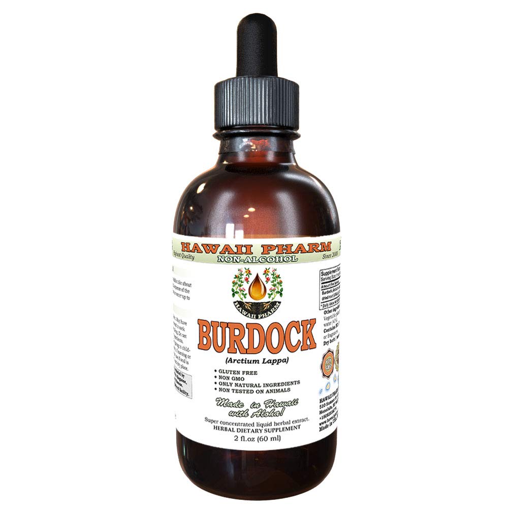 Burdock Alcohol-Free Liquid Extract, Organic Burdock (Arctium Lappa) Getrocknete Wurzel Glycerite Hawaii Pharm Natural Herbal Supplement 2 oz