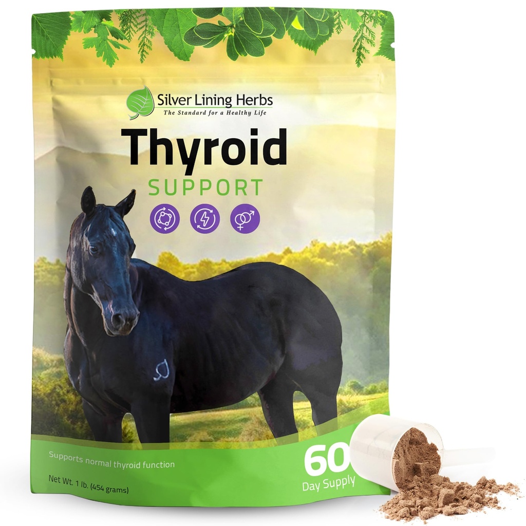 Support Thyroïde pour Chevaux – supplément Cheval Herbal pour la fonction normale de thyroïde, équilibre hormonal et métabolisme sain avec la mousse irlandaise, Kelp, persil – 120 jours d'approvisionnement
