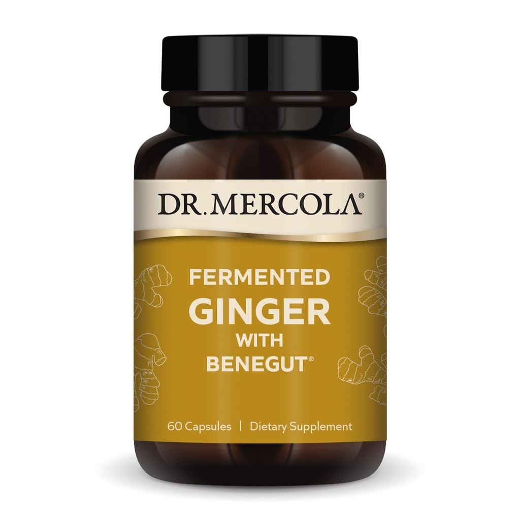 Dr. Mercola Fermented Ginger mit Benegut - unterstützt Verdauungs- und Gutgesundheit - Aids Occasional Gas, Bloating & Discomfort - Non-GMO, Gluten-Free & Soy-Free - 60 Kapseln (60 Servietten)