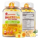 Ginger Chews Gummies pour la nausée et le soutien digestif, Soulagement de l'estomac, sans sucre avec curcuma, Aile sans or, Quercetine, Vitamine D3, Suppléments digestifs pour le soufflage occasionnel et gaz, 2Pack