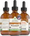 RawGuru Cordyceps Pilz-Ergänzung - Vegan Cordyceps Extrakt mit Trace Minerals - Nano-geförderte Immunität Boost & Kognitive Beilage - 60 Portionen von Vegan Tropfen pro 60 ml, Packung von 1