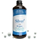 Buried Treasure Purified Silver Liquid 30 PPM - 16 oz. 96 Servierungen, Non-Accumulative Nano Silver Solution, Spray & Dietary Immun Supplement