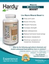 Macro Mineral Boost - Hohe Intensität Kalziumergänzung für Knochen und Zähne Gesundheit mit Vitamin C, D, K, Kalzium, Phosphor und Magnesium, Ultra absorbierbar