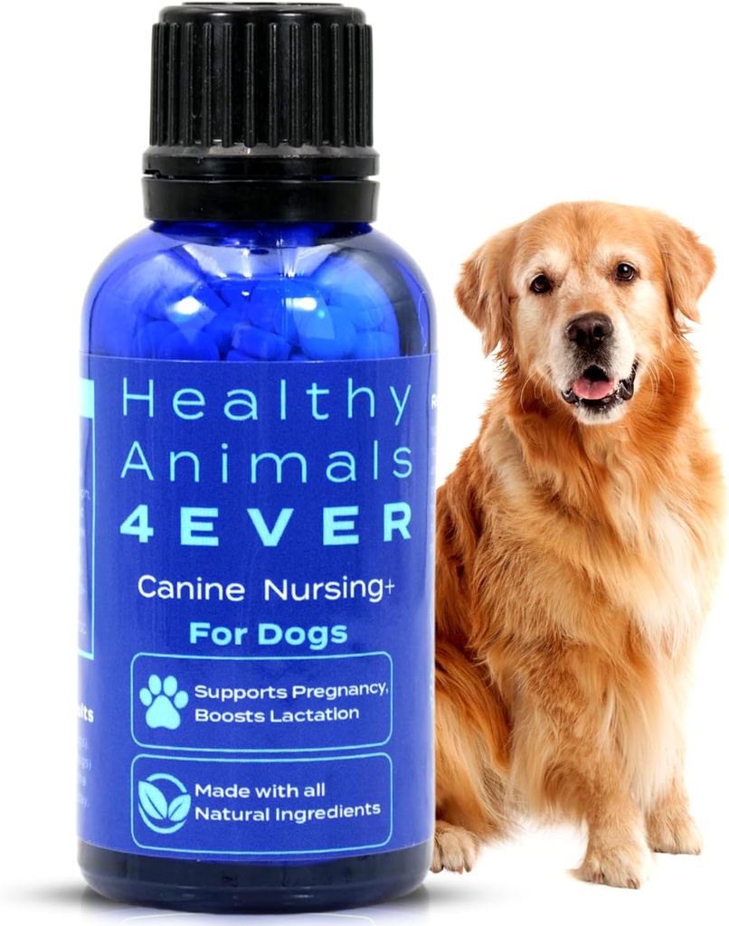 HA4E - Canine Pregnancy & Nursing Support - Boosts Lactation & Helps Prevent Pregnancy & Nursing Issues - Safe, Fast-Acting, Natural Care Formula - 300 Tablets