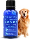 HA4E - Soutien à la grossesse et aux soins infirmiers canins - booste l'allaitement et aide à prévenir les problèmes liés à la grossesse et aux soins infirmiers - Formule de soins naturels sécuritaire, rapide et efficace - 300 Comprimés