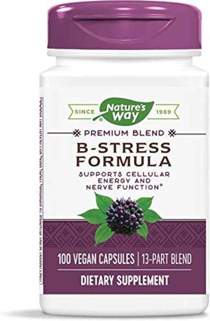 Natures Way B-Stress Formel 100vegcp (Pack von 2)