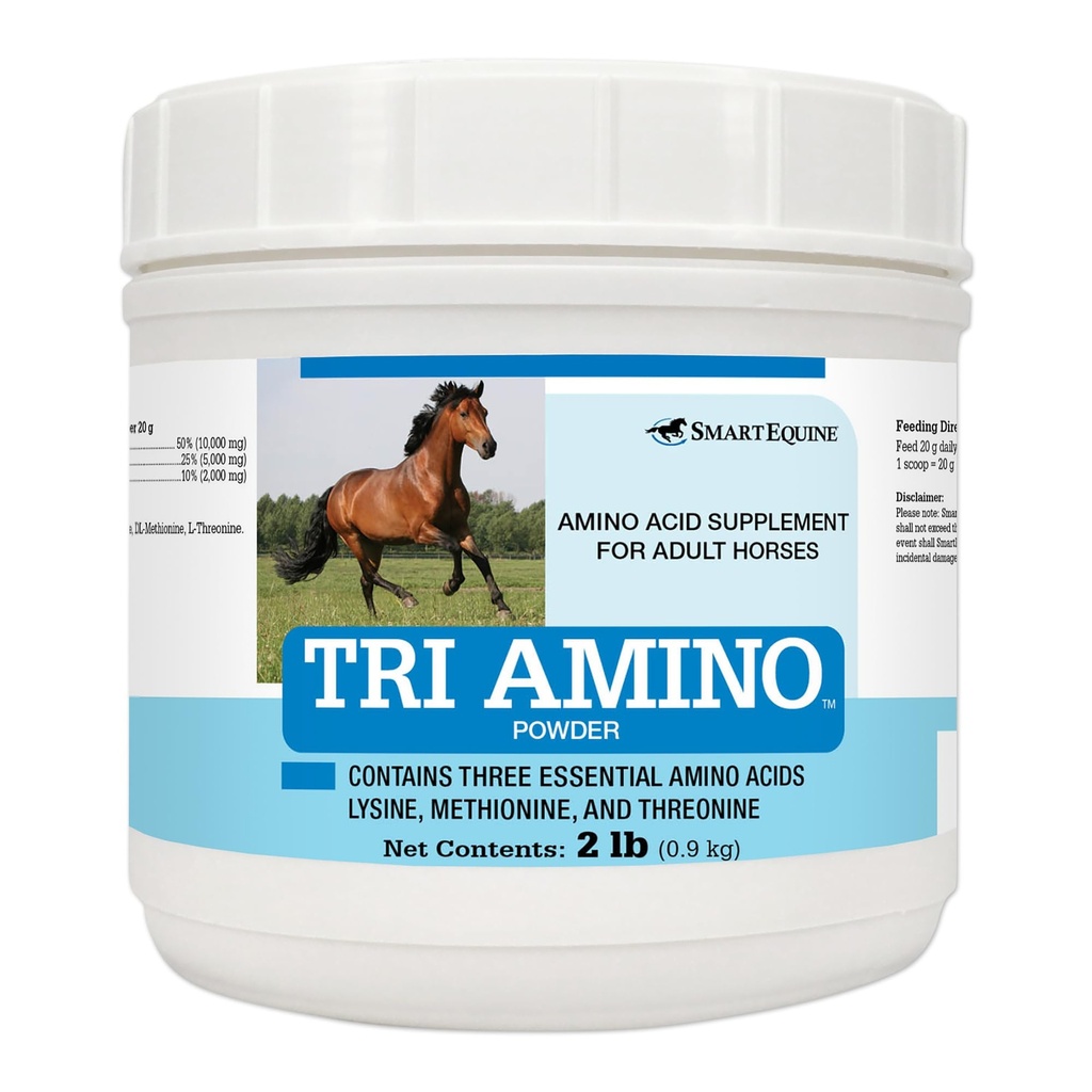 Supplément pour chevaux lysins avec méthionine et thréonine pour muscles forts