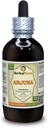 Arjuna (Terminalia Arjuna) Tinkture, Organic Dried Bark Liquid Extract (Markenname: HerbalTerra, Proudly made in USA) 4 fl.oz (120 ml)