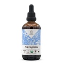 Astragalus USDA Organic Alcohol-Free Extract | Nahrungsergänzung, Hochfeste Tinktur | Natürliche zertifizierte organische Astragalus (Astragalus membranaceus) Getrocknete Wurzel (4 oz)