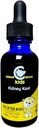 Cedar Bear Kidney Kool for Kids - Liquid Herbal Supplement That Soothes, and Supports Urinary System 1 fl oz / 30 ml