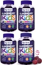 Feel Great Kids Elderberry Gummies mit Zink und Vitamin C (4-Pack) | Kids Immune Support Sambucus Elderberry Gummies | Berry Flavored Vegan Kids Multivitamins | 90 Gummie pro Flasche