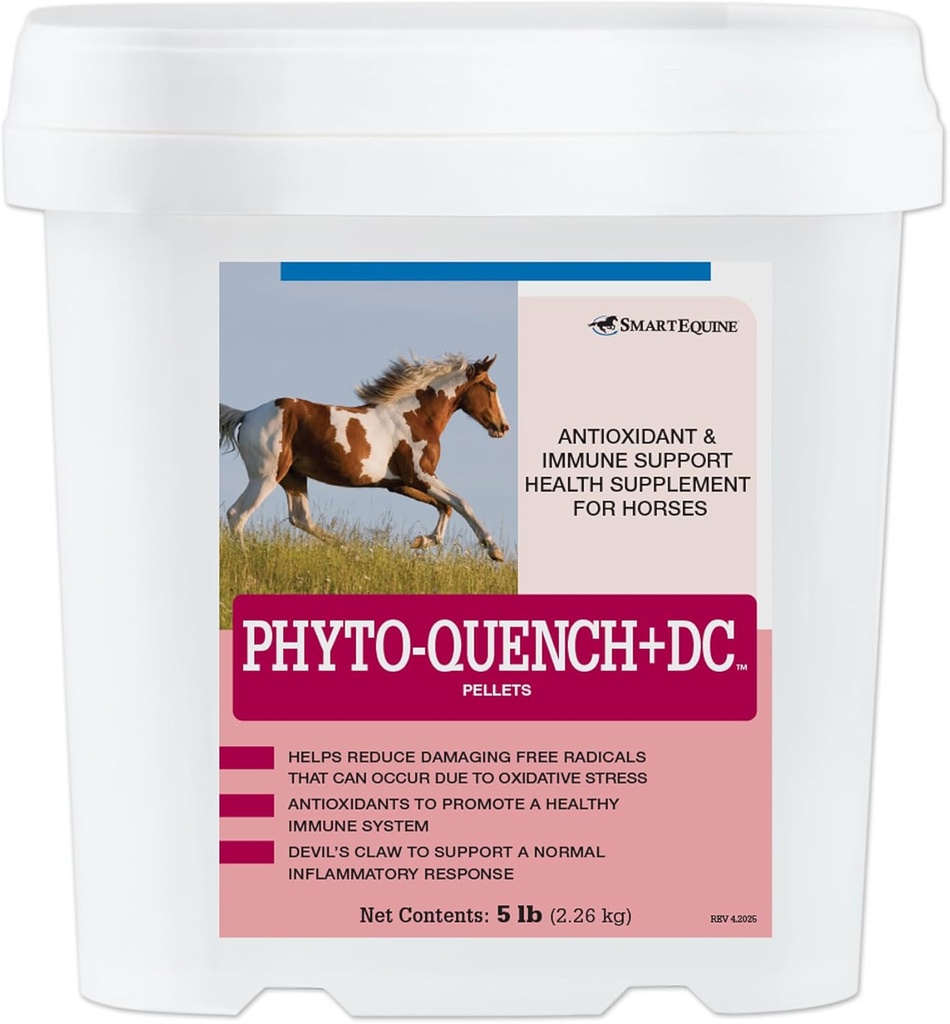 Phyto-Quench + DCTM Pellets | Umfassende Pferde Immununterstützung mit Vitamin E und pflanzenbasierten Antioxidantien Ergänzung Pferde | 5 lb Eimer