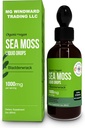 Bio Sea Moss Liquid Drops | 30.000 MG | Sea Moss mit Bladderwrack, Elderberry | 4X Stronger Bio Sea Moss Than Pillen und Kapseln für Gesamtgesundheit Leben! 1 Flasche