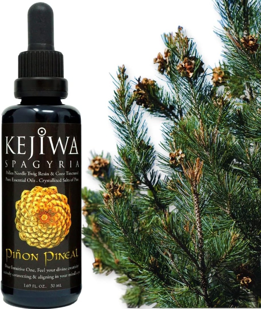 Kejiwa PIÑON PINEAL Spagyria: Wild Harvested Pine Herbal Tincture for Third Eye Activation, Nootropic, Adaptogen, Vitality Support 1.69 fl oz