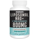 NAD+ liposomique 800 mg avec trans-résvératrol 300 mg, absorption maximale, NAD+ réel Supplément stimulant pour le vieillissement en santé, énergie cellulaire, réparation de l'ADN, longévité - 60 Softgels