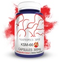 Nootropics Depot KSM-66 Ashwagandha Capsules de 300mg de Count de 90 Avec l'extrait de somnifera d'Ayurvedic Herb.