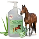 Doc Hoag’s Aloe Vera+Agave Premium Horse Supplement – Made in USA – Original Udder Balm – Natural Gastric Support für Pferde & Große Tiere – Stress Relief & Ulcer Care, 128 Fl Oz.