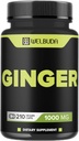 1000mg Ginger ergänzt Kapseln mit Berberin HCl, Elderberry, Echinacea & More - 11in1 Unterstützung Verdauung, Gelenkgesundheit, Immunsystem und Herzgesundheit - 210 Ginger Pillen