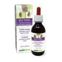 Naturalma Teasel sauvage ou de Fuller's Teasel (Dipsacus fullonum ou D. sylvestris) Teinture sans alcool racine - 4 fl oz extrait liquide dans les gouttes - supplément à base de plantes - végétalien