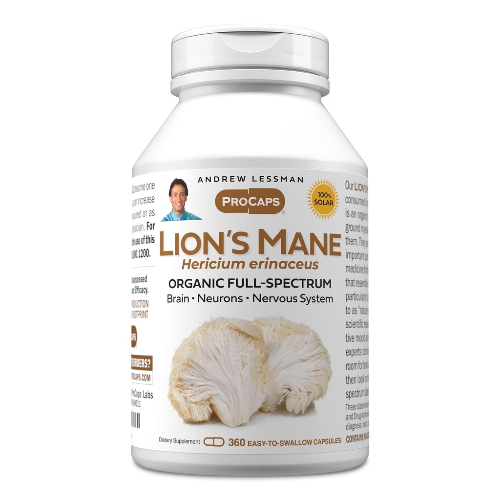 ANDREW LESSMAN Lion’s Mane 360 Capsules - Bio Full Spectrum Lion’s Mane Mushroom Extract - Unterstützt gesundes Gehirn, kognitive und Nervous System Funktion - Keine Additive.