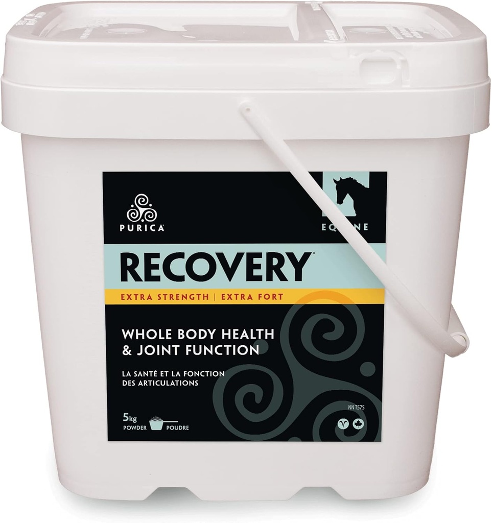 PURICA Recovery Extra Strength - Equine Joint Supplement - Umfassende Unterstützung für Pferde - Ideale Pferde Joint Supplement für Senior Horses, MSM Powder Included - 11 lb Powder