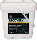 PURICA Recovery Extra Strength - Equine Joint Supplement - Umfassende Unterstützung für Pferde - Ideale Pferde Joint Supplement für Senior Horses, MSM Powder Included - 11 lb Powder
