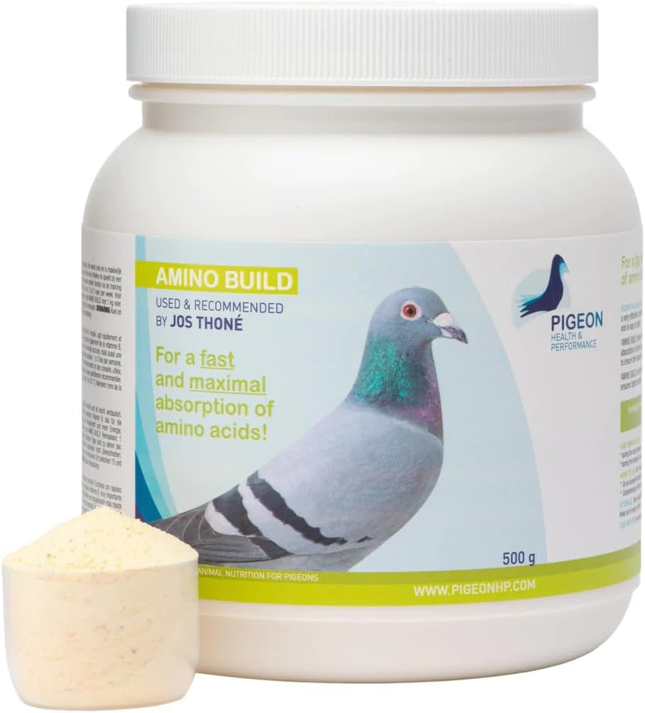 Generisches PHP Amino Build 500g - Muscle-Building Amino Acids Pigeon Health & Performance