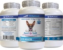 Chiens Vitamines oculaires - Chiens Formule santé oculaire - Complexe avancé de soutien oculaire - VETS Recommandé - Lutéine pour chien - 1 bouteille (60 comprimés)