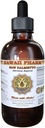 HawaiiPharm Saw Palmetto (Serenoa Repens) Flüssiger Extrakt 4 fl.oz