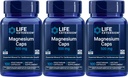 Prolongation de la durée de vie Magnésium 500 mg, 100 capsules végétariennes (paquet de 3)
