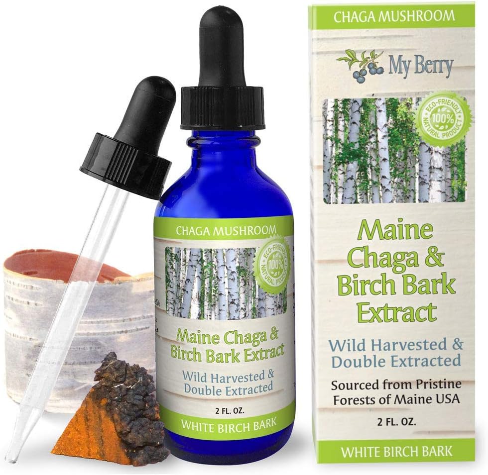 Maine Chaga Pilze & Birke Bark Extrakt Flüssigkeit | 2oz | Wild Harvested & Double Extracted | USA & Canadian Grown Chaga