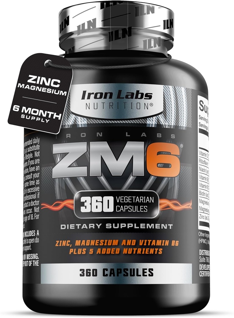 Eisenlabors ZM6 – 6 Monate Versorgung – Zink Magnesium Aspartate Supplement – 360 Vegetarische Kapseln – Magnesium und Zink Ergänzungen für Männer & Frauen