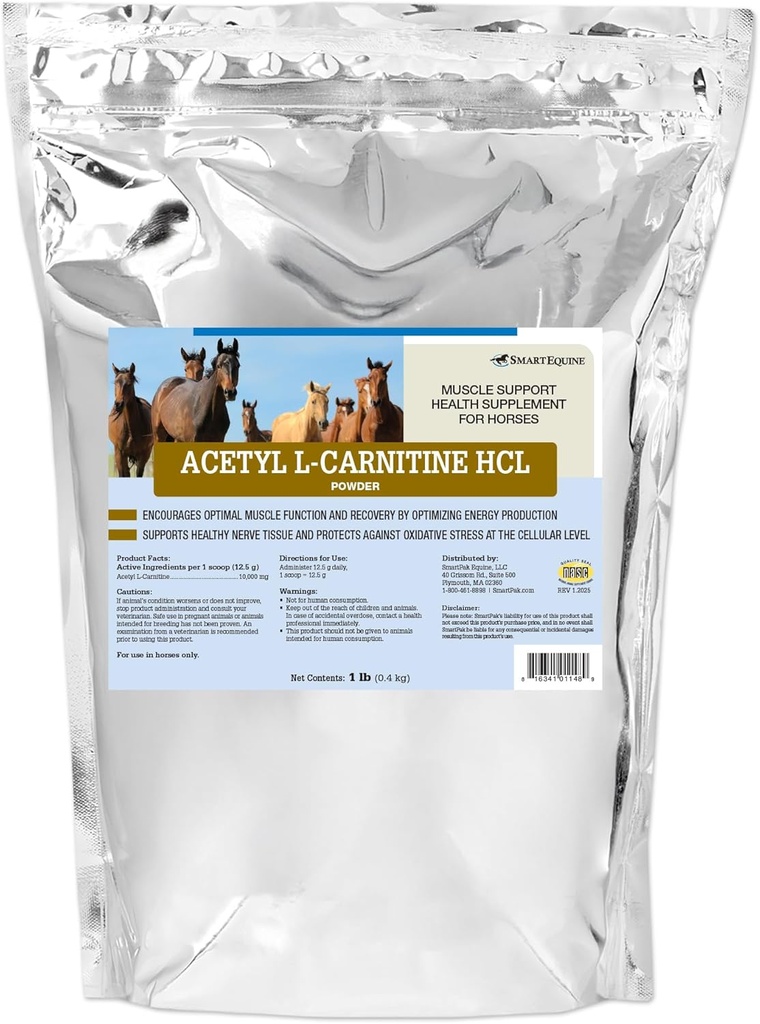Acetyl L-Carnitin HCL Pulver | Pferde Energie-Ergänzung & Muskel-Ergänzung für Pferde Unterstützung Muskel-Funktion & More | Antioxidant-Rich reine Formel | 1 lb Tasche