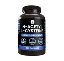 PURE ORIGINAL INGREDIENTS N-Acetyl L-Cystein (365 Kapseln) Kein Magnesium oder Reisfüller, Immer rein, Lab Verified