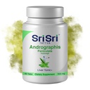 Andrographis Paniculata Ergänzungen – 60 Tabletten Pflanzenbasis Kräuter Atemschutz Wellness – Immunstärke Restorative Andrographis Tablets – 500 Mg Bio Grün Chiretta Kräuter