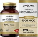 Methyl B-12 5000mcg Chewable with Folate - Vitamin B12 Methylcobalamin Sublingual Tablets - Unterstützt Energie & Gehirn Funktion - Vegan Supplement - Orange Flavor - 120 Count