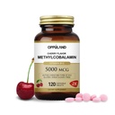 Methyl B-12 5000mcg Chewable with Folate - Vitamin B12 Methylcobalamin Sublingual Tablets - Unterstützt Energie- und Gehirnfunktion - Vegan Supplement - Kirsche Flavor - 120 Count