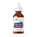 Kräutergüte Bitter aber keine Crap Liquid Supplement für Körperreinigung, Energieunterstützung und Gesundheit Boost | Non-GMO Burdock Root Organic, Bitter Melon, Maca Root, Dandelion Root - 2 fl. oz per Bottle