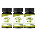 Amla 120 Tabletten – USDA Organic Indian Gooseberry – Reich an Vitamin C & unterstützt Immungesundheit* - Packung von 3