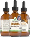 Supplément de champignons RawGuru Chaga - Extrait de champignons végétaliens Chaga avec minéraux traces - Boost d'immunité nanoprocessé et supplément cognitif Teinture - 60 portions de gouttes de champignons végétaliens par 60 ml, boîte de 1