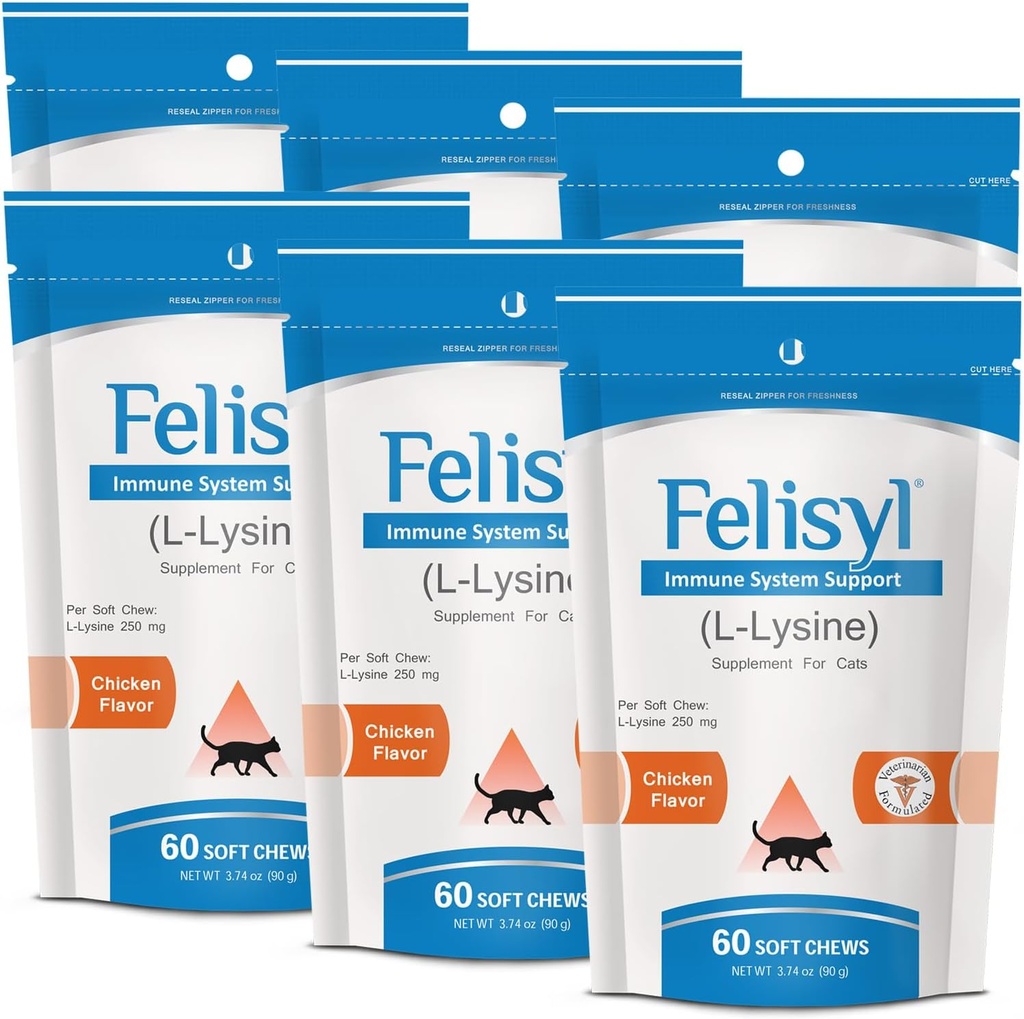 L-Lysine Soft Chews für Katzen (60 Soft Chews) – unterstützt Immun-, Beatmungs- und Augengesundheit. Eases Sneezing, Runny Nose und Watery Eyes. Salmon Flavor - (6 Pack)