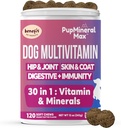Chien Multivitamine Soft Chews - 120 Comte - Supplément pour chien, Digestive, Immune, Peau, Coat - Vitamines avancées combinées pour chiens, tous les âges de chien - Fabriqué aux États-Unis