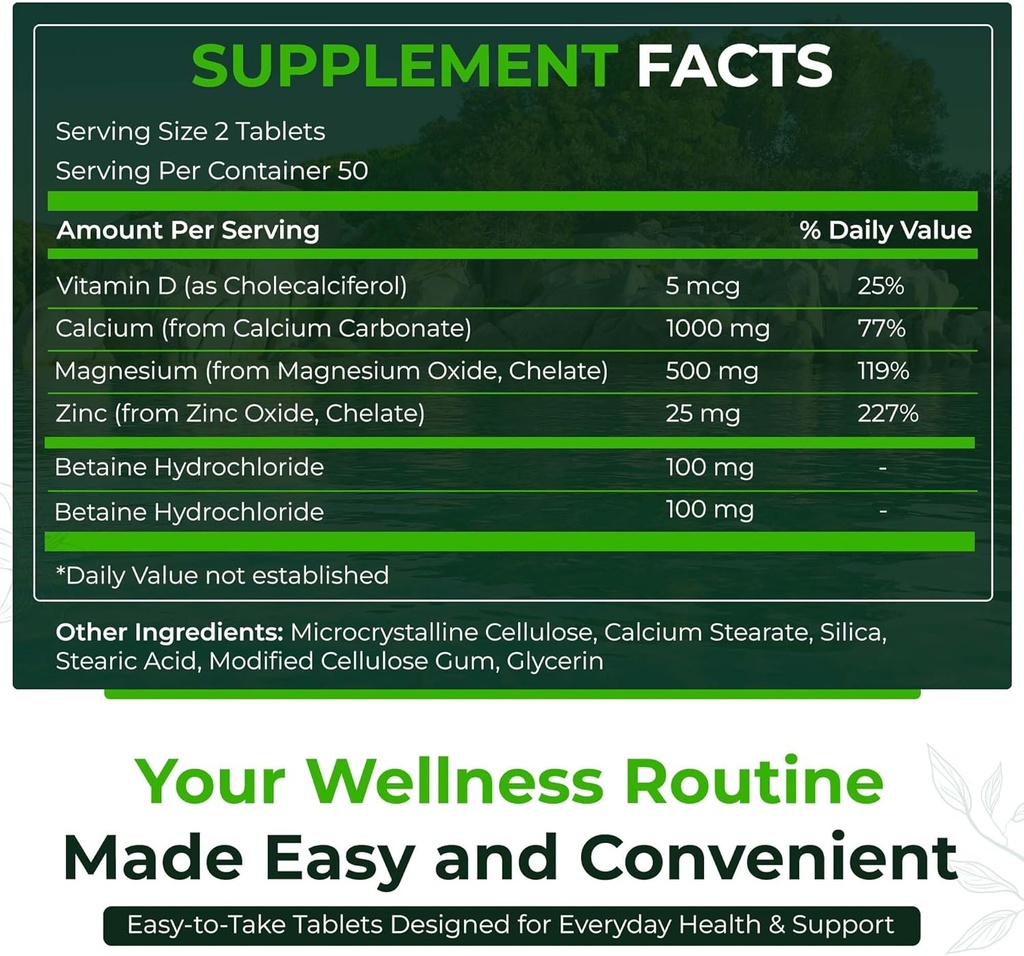 Natürliche Nutra 500 Count, Calcium Magnesium Zink Ergänzung mit Vitamin D3 für Knochenstärke, hilft, Verdauung zu verbessern, Gesundheit Glutenfrei und Zuckerfrei, essentielle Mineral Complex