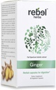 Capsules de gingembre Rebel Extrait double puissant, sans OGM, sans gluten, racine de gingembre (Rhizome) Extrait