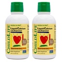 ChildLife Essentials Flüssige Kalziumergänzung für Kinder - Baby Kalzium mit Magnesium, Zink und Vitamin D3 - Orange Flavor, 16 fl oz (2 Pack)