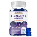 Alpha GPC Choline Gummies 600mg avec Phosphatidylsérine & Bacopa – 3-en-1 Soutien du cerveau pour la mémoire, le focus et la santé cognitive à long terme – sans sucre, formule naturelle, 60 comte