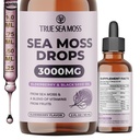TrueSeaMoss Irish Sea Moss Drops - 5X Stronger Than Sea Moss Gel - 92+ Essentials Minerals - mit Black Elderberry, Burdock Root & Black Cumin - 2 Fl Oz (60ml) - Elderberry Flavor