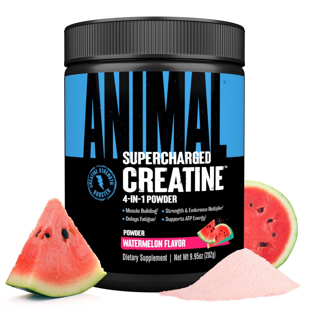 Poudre de créatine suralimentée animale - Monohydrate de créatine aromatisé amélioré avec la bêtaine anhydre, PurpleForce & Senactiv, Force, Endurance, Récupération musculaire pour les hommes et les femmes - pastèque, 300g