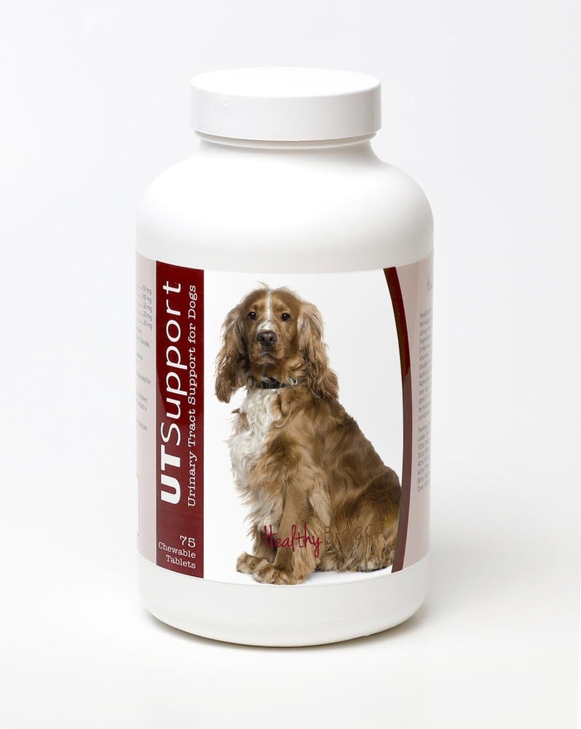 Salubrité des races Anglais Cocker Spaniel Cranberry Chewables - UT Support - Efficace pour aider à combattre les bactéries nuisibles et prévenir l'infection dans la plaie de votre chien - 75 Comte