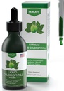 Chlorophylle gouttes liquides - 100% énergie naturelle Booster et soutien immunitaire - Déodorant interne et detox - Altitude de soulagement de la maladie - Absorption rapide, végétalien et non-OGM - 120 portions (paquet de 1)